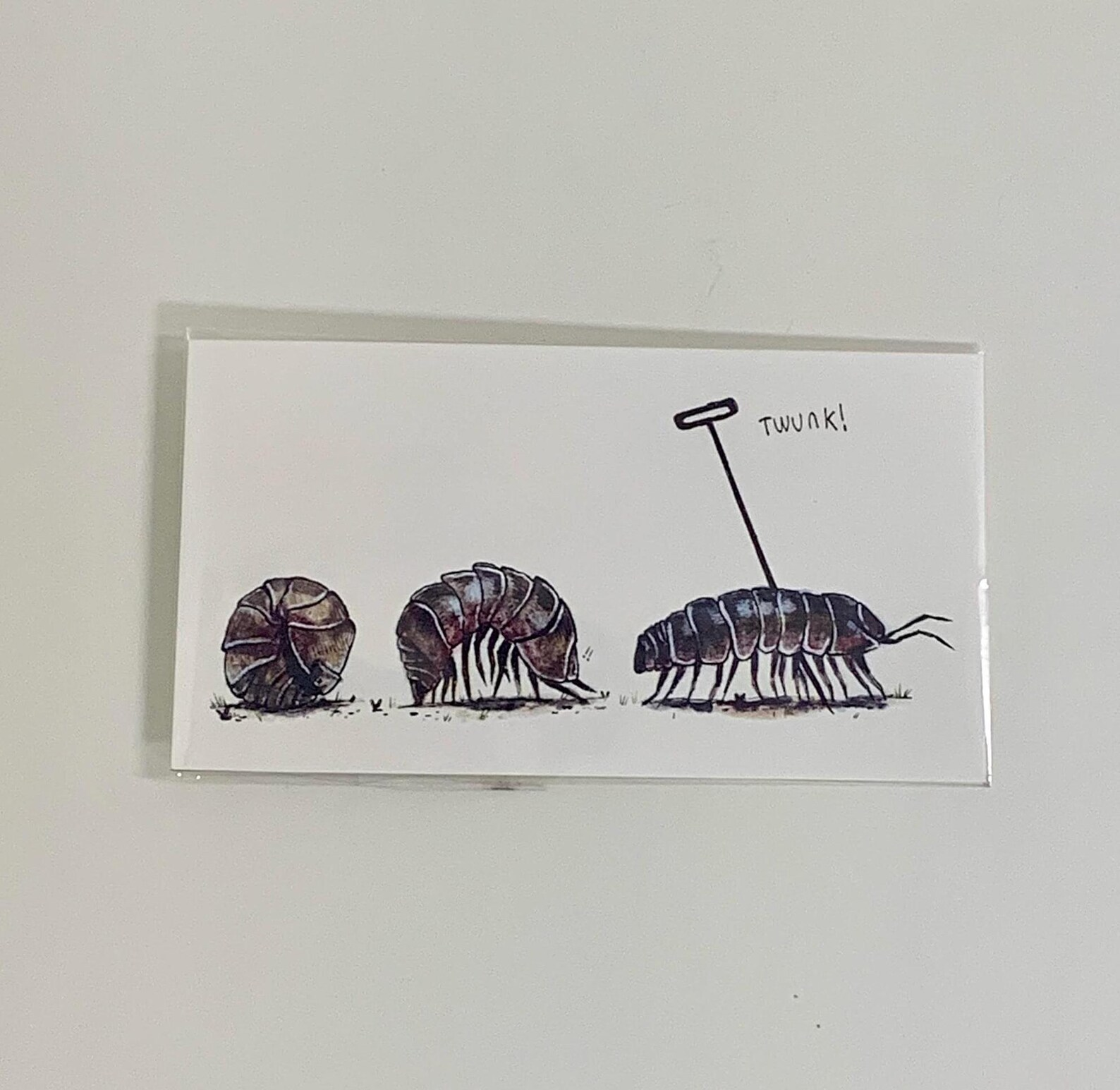 Pill Bug Print